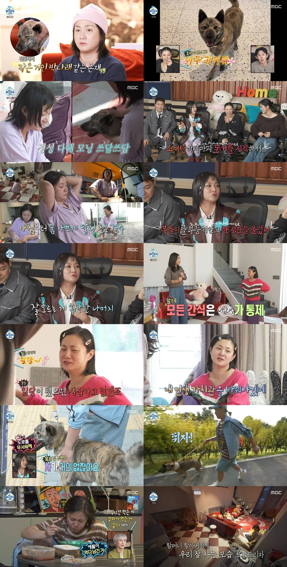 iMBC 연예뉴스 사진