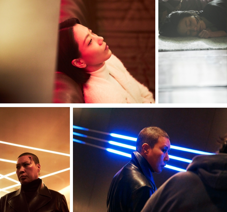 '프로젝트 Y' 김신록, 절연한 한소희·전종서와 다시 얽힌다...정영주 파... - 뉴스 썸네일 이미지