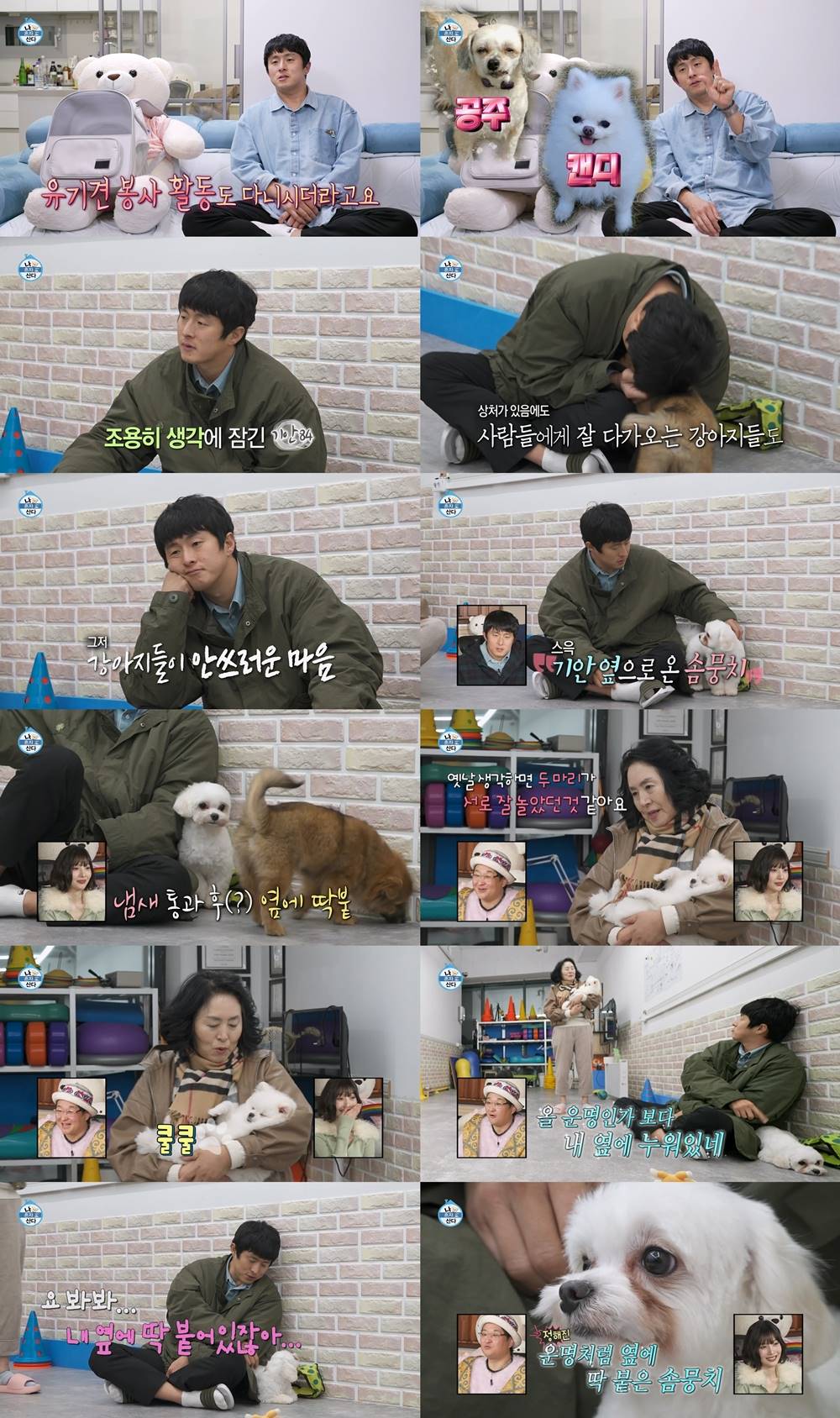 “마음 좋진 않아” 기안84, 뭉클한 마음 드러내…새 식구 될까? (나혼산)