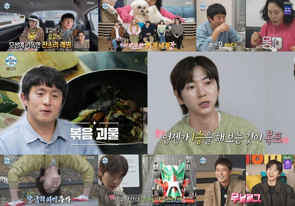 ‘나혼산’ 기안84, 유기견들과 운명적인 만남→이주승 레이싱 대결 ‘최고 6.9%’