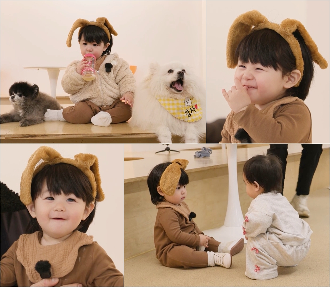 iMBC 연예뉴스 사진