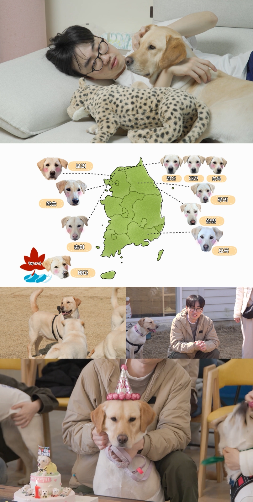 이강태 ‘내연견’ 다다, 1년 전 출산한 10남매와 상봉…돌잔치 현장 포착 (전참시)