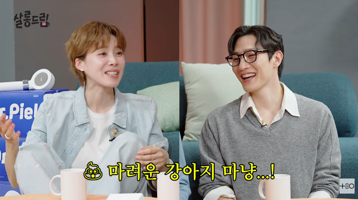 iMBC 연예뉴스 사진