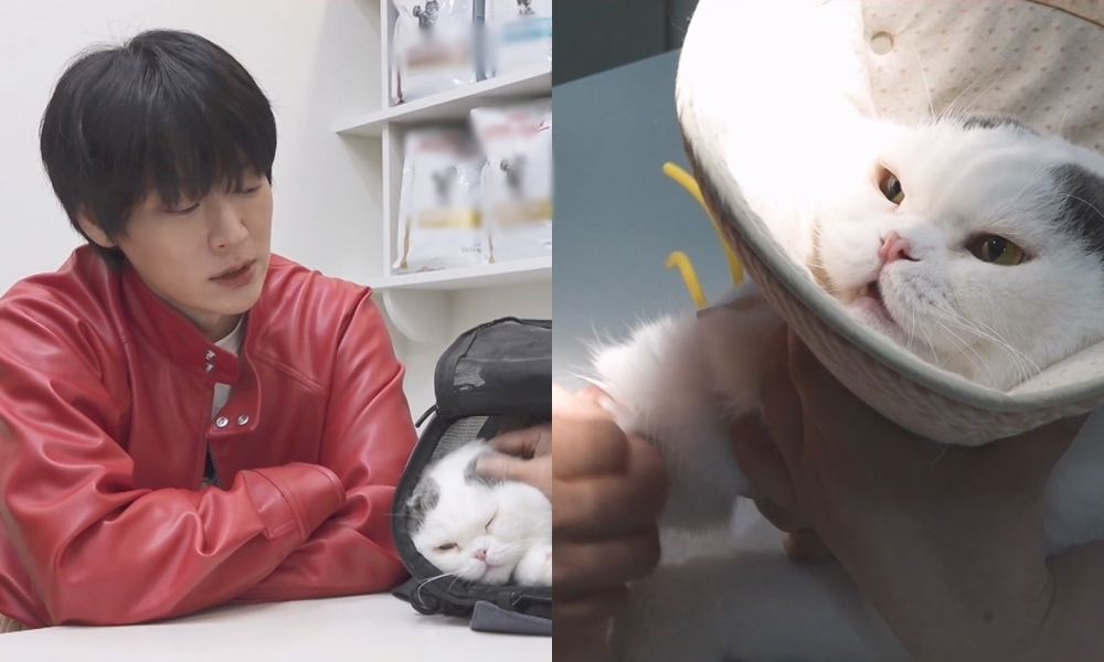 안재현, ‘13살’ 반려묘 검진에 안절부절 “오만 가지 생각이 다 들더라” (나혼산)
