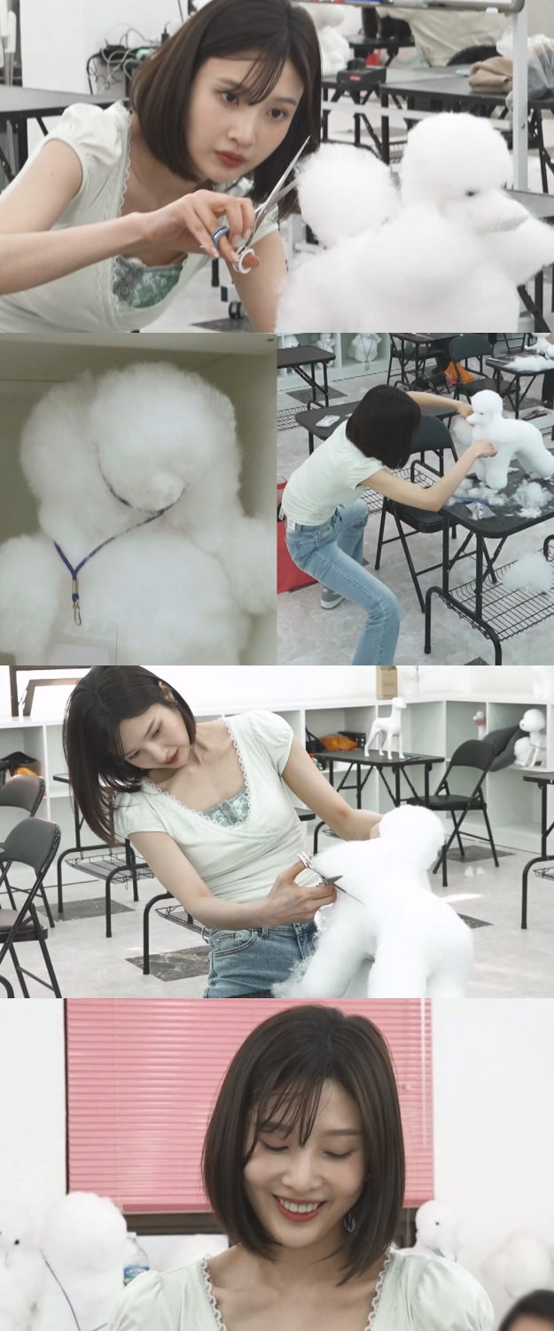 '나혼산' 레드벨벳 조이, 애견 미용사 자격증 도전 "연예인 못하게 될까봐"
