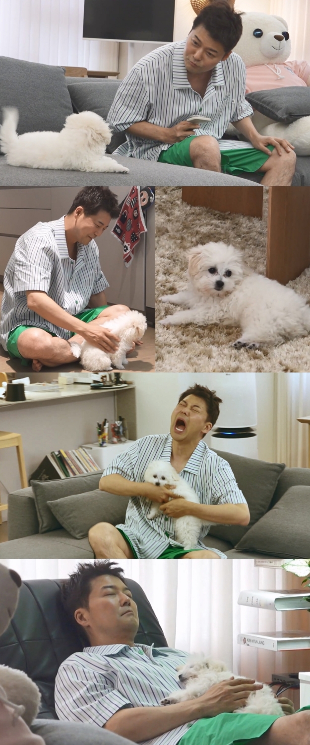 전현무, 부모님 위해 맞이한 구조견…"육아랑 다를 바 없다" (나혼산)