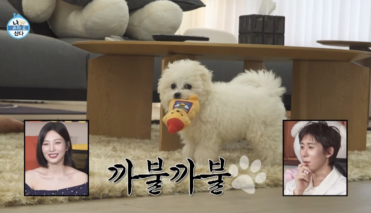 전현무, 새 가족 전격 공개 “번식장에서 구조한 강아지” (나혼산)