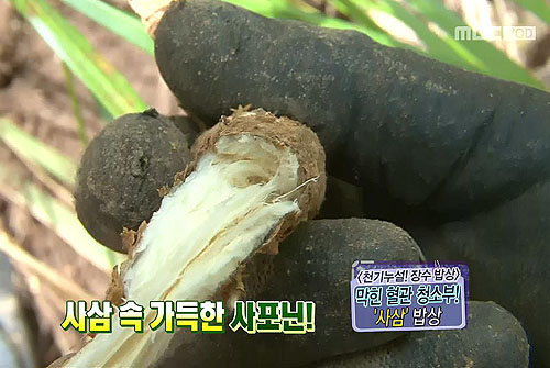 막힌 혈관 청소부! ‘사삼’을 아시나요?