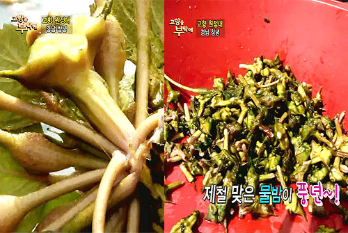 물속에서 건진 귀한 보물 물밤!