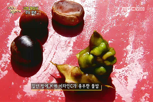 물속에서 건진 귀한 보물 물밤!