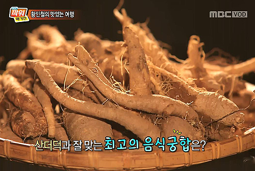 청정의 자연에서 캔 양평 가을 산 더덕