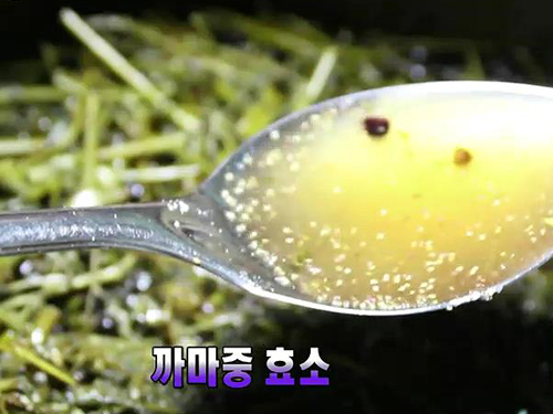 갱년기 여성이 꼭 먹어야 하는 “까만 열매”